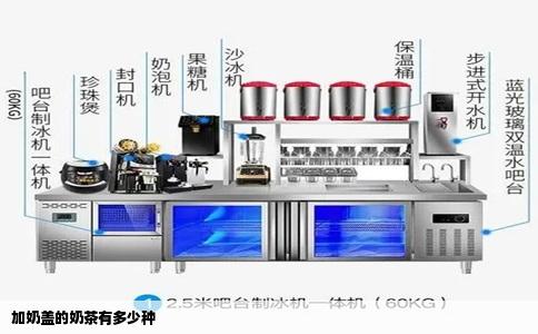 加奶盖的奶茶有多少种