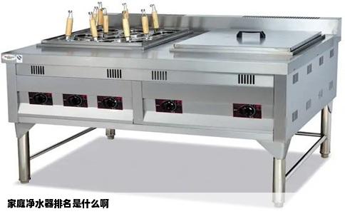 家庭净水器排名是什么啊