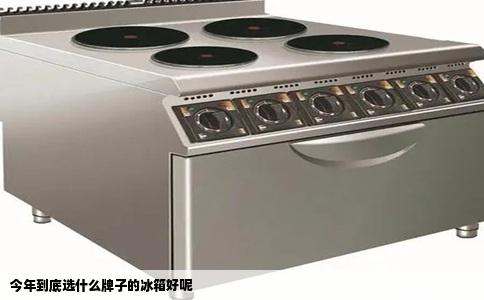 今年到底选什么牌子的冰箱好呢