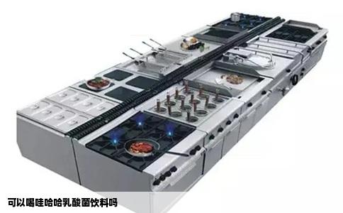 可以喝哇哈哈乳酸菌饮料吗