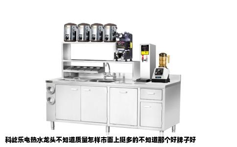 科屹乐电热水龙头不知道质量怎样市面上挺多的不知道那个好牌子好