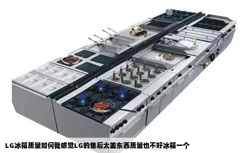 LG冰箱质量如何我感觉LG的售后太差东西质量也不好冰箱一个