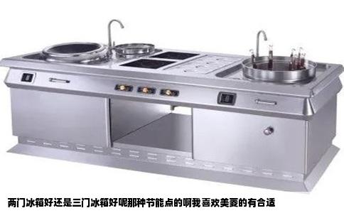 两门冰箱好还是三门冰箱好呢那种节能点的啊我喜欢美菱的有合适