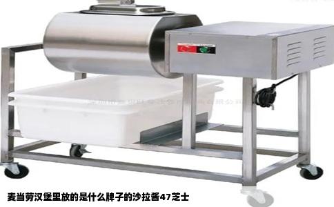 麦当劳汉堡里放的是什么牌子的沙拉酱47芝士