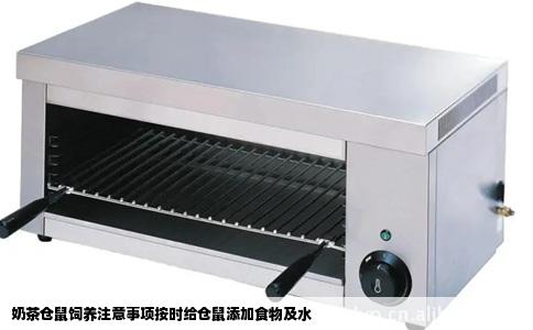 奶茶仓鼠饲养注意事项按时给仓鼠添加食物及水