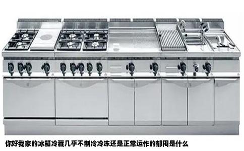 你好我家的冰箱冷藏几乎不制冷冷冻还是正常运作的郁闷是什么