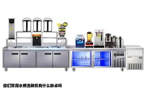 你们觉得水槽洗碗机有什么缺点吗