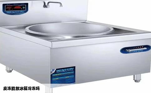 皮冻能放冰箱冷冻吗