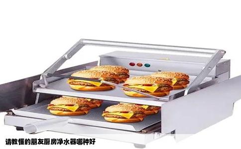 请教懂的朋友厨房净水器哪种好