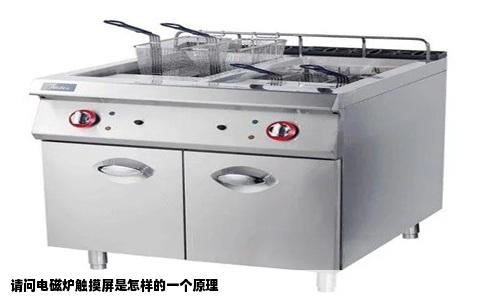 请问电磁炉触摸屏是怎样的一个原理