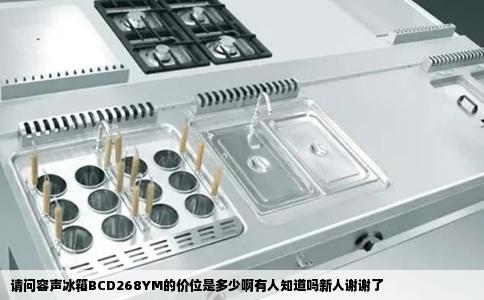 请问容声冰箱BCD268YM的价位是多少啊有人知道吗新人谢谢了
