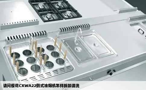 请问樱花CXWA22侧式油烟机怎样拆卸清洗