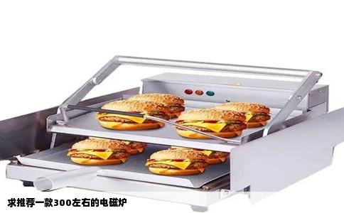 求推荐一款300左右的电磁炉