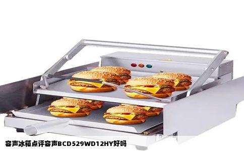 容声冰箱点评容声BCD529WD12HY好吗