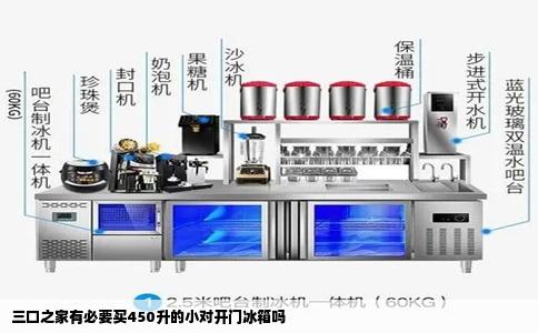 三口之家有必要买450升的小对开门冰箱吗