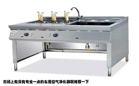 市场上有没有专业一点的车用空气净化器啊推荐一下