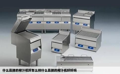 什么品牌的榨汁机好怎么样什么品牌的榨汁机好好吗