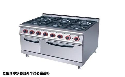 史密斯净水器就两个滤芯靠谱吗