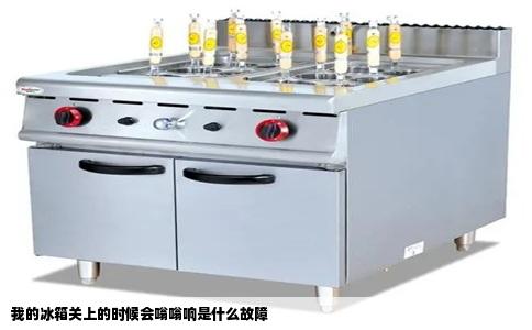 我的冰箱关上的时候会嗡嗡响是什么故障