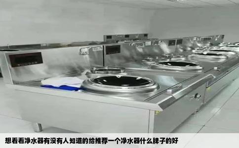 想看看净水器有没有人知道的给推荐一个净水器什么牌子的好