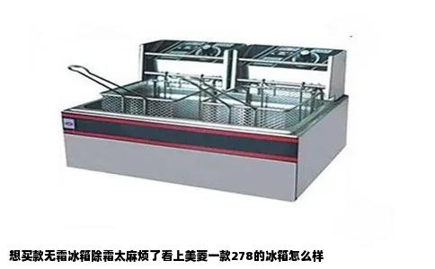 想买款无霜冰箱除霜太麻烦了看上美菱一款278的冰箱怎么样