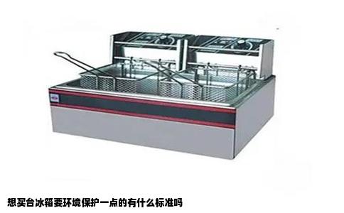 想买台冰箱要环境保护一点的有什么标准吗