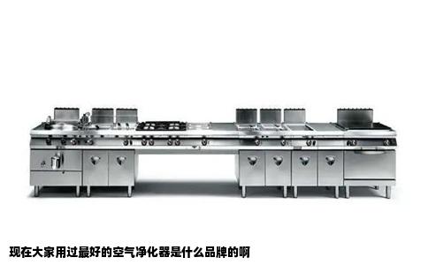 现在大家用过最好的空气净化器是什么品牌的啊