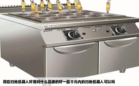 现在扫地机器人好用吗什么品牌的好一般千元内的扫地机器人可以吗