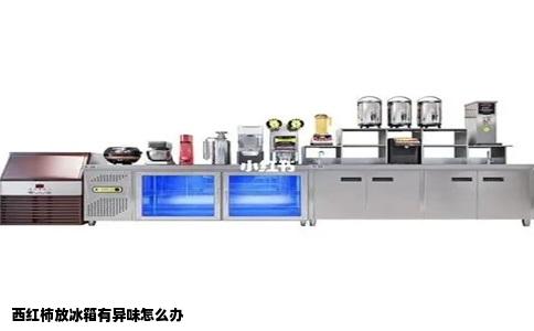 西红柿放冰箱有异味怎么办