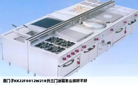 西门子KK22F0012W218升三门冰箱怎么样好不好