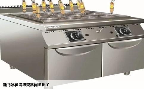 新飞冰箱冷冻突然间全化了