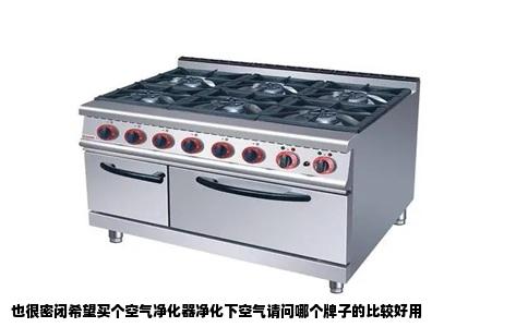 也很密闭希望买个空气净化器净化下空气请问哪个牌子的比较好用