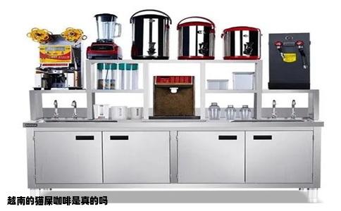 越南的猫屎咖啡是真的吗